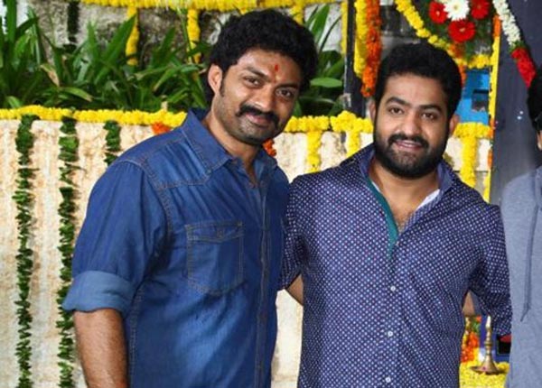 kalyan ram,patas movie,share,ntr,october 10 audio release  షేర్‌ కోసం యంగ్‌టైగర్‌ వస్తున్నాడు..! 